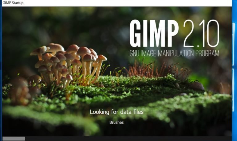 gimp software