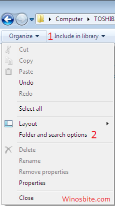 Organize option in Windows 