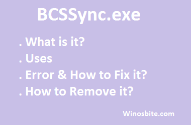 BCSSync.exe information