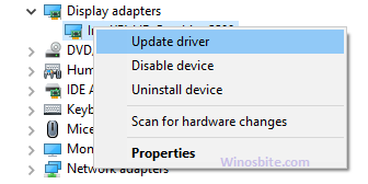 Update Driver for Display Adapters