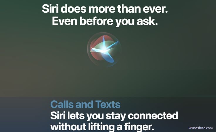 Siri Voice to Text tool for iPhone 