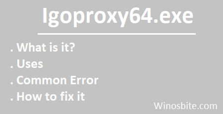 Igoproxy64.exe application information 