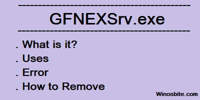 GFNEXSrv.exe