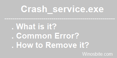 Crash_service.exe