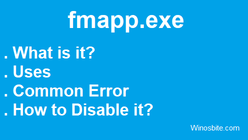 fmapp.exe application 