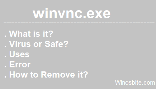 winvnc.exe process