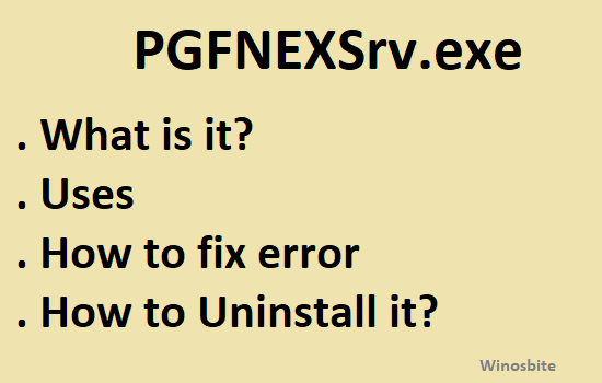 PGFNEXSrv.exe file 