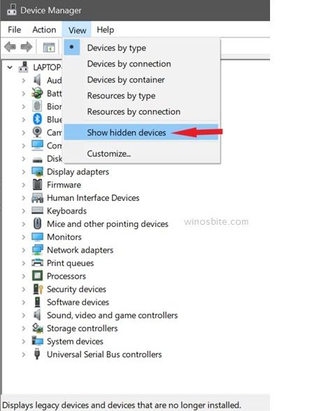 Device manager show hidden devices option
