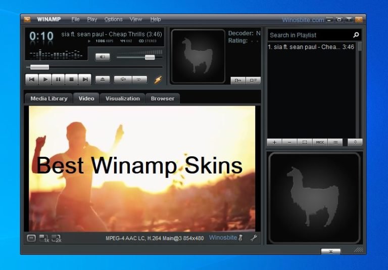 winamp 5 best skins