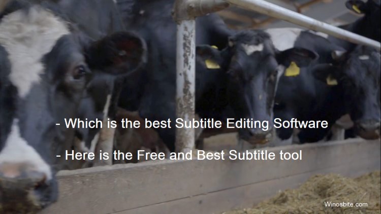 free subtitle editing software