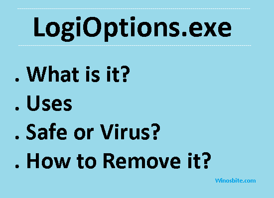 logioptions.exe file information